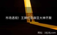 市场透视！王牌栏目麻豆大神齐聚