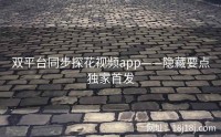 双平台同步探花视频app——隐藏要点独家首发