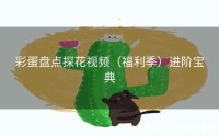 彩蛋盘点探花视频(福利季)进阶宝典