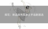 探花:新品首秀版本上手追剧首选