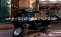 15大亮点探花精选年度总结彩蛋揭秘