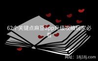 62个关键点麻豆app升级攻略玩家必看