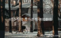 V7.0-探花-市场透视-体验翻倍