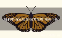 福利季-探花视频-官方发布-精彩不断