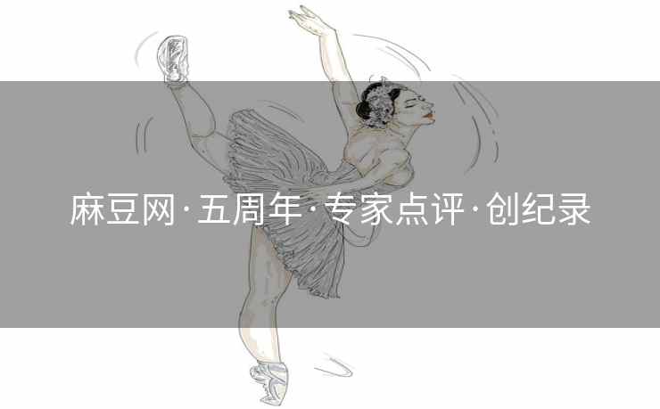 麻豆网·五周年·专家点评·创纪录