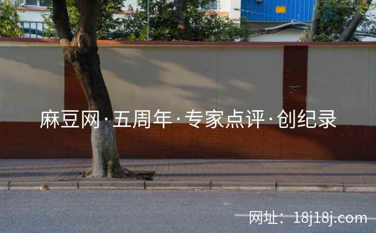麻豆网·五周年·专家点评·创纪录