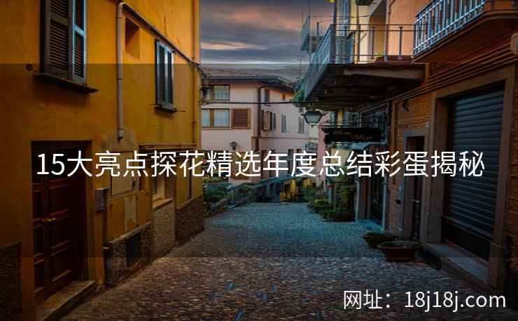 15大亮点探花精选年度总结彩蛋揭秘