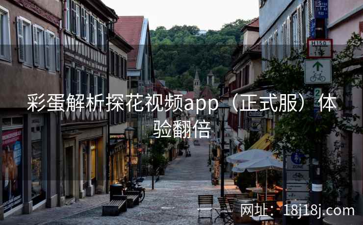 彩蛋解析探花视频app（正式服）体验翻倍
