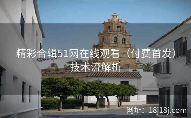 精彩合辑51网在线观看（付费首发）技术流解析