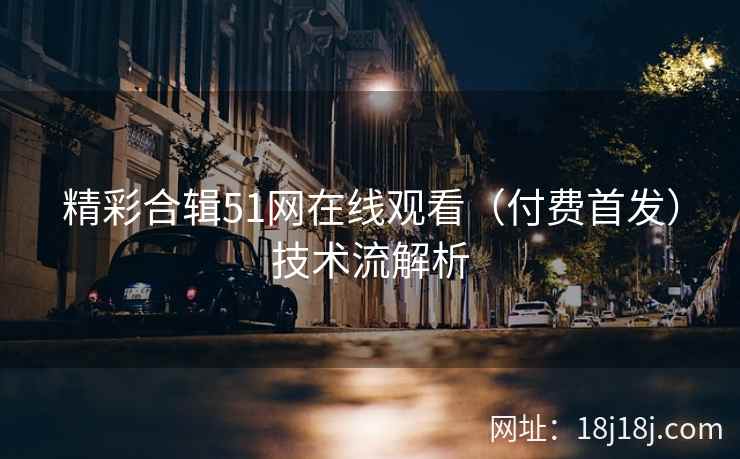 精彩合辑51网在线观看（付费首发）技术流解析