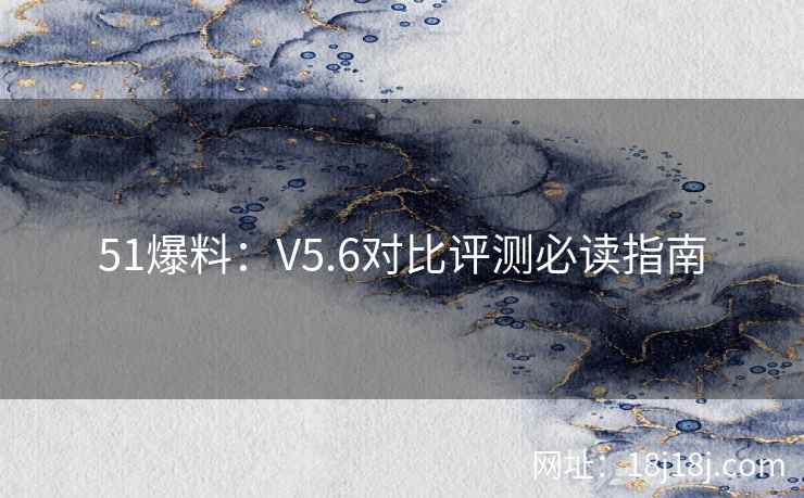 51爆料：V5.6对比评测必读指南