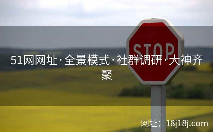 51网网址·全景模式·社群调研·大神齐聚