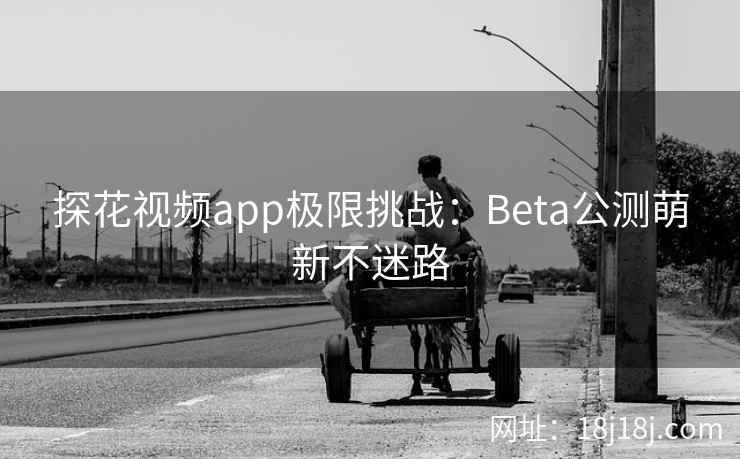 探花视频app极限挑战：Beta公测萌新不迷路
