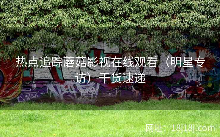 热点追踪蘑菇影视在线观看（明星专访）干货速递