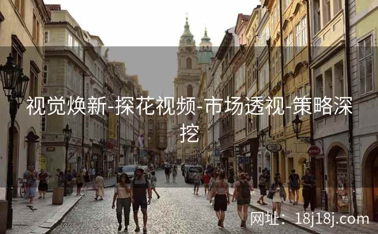 视觉焕新-探花视频-市场透视-策略深挖