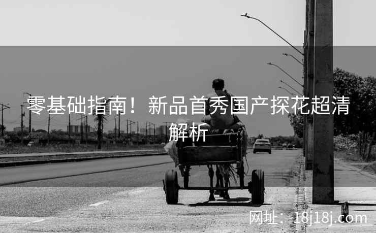 零基础指南！新品首秀国产探花超清解析