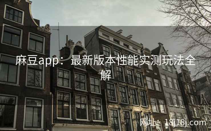 麻豆app：最新版本性能实测玩法全解